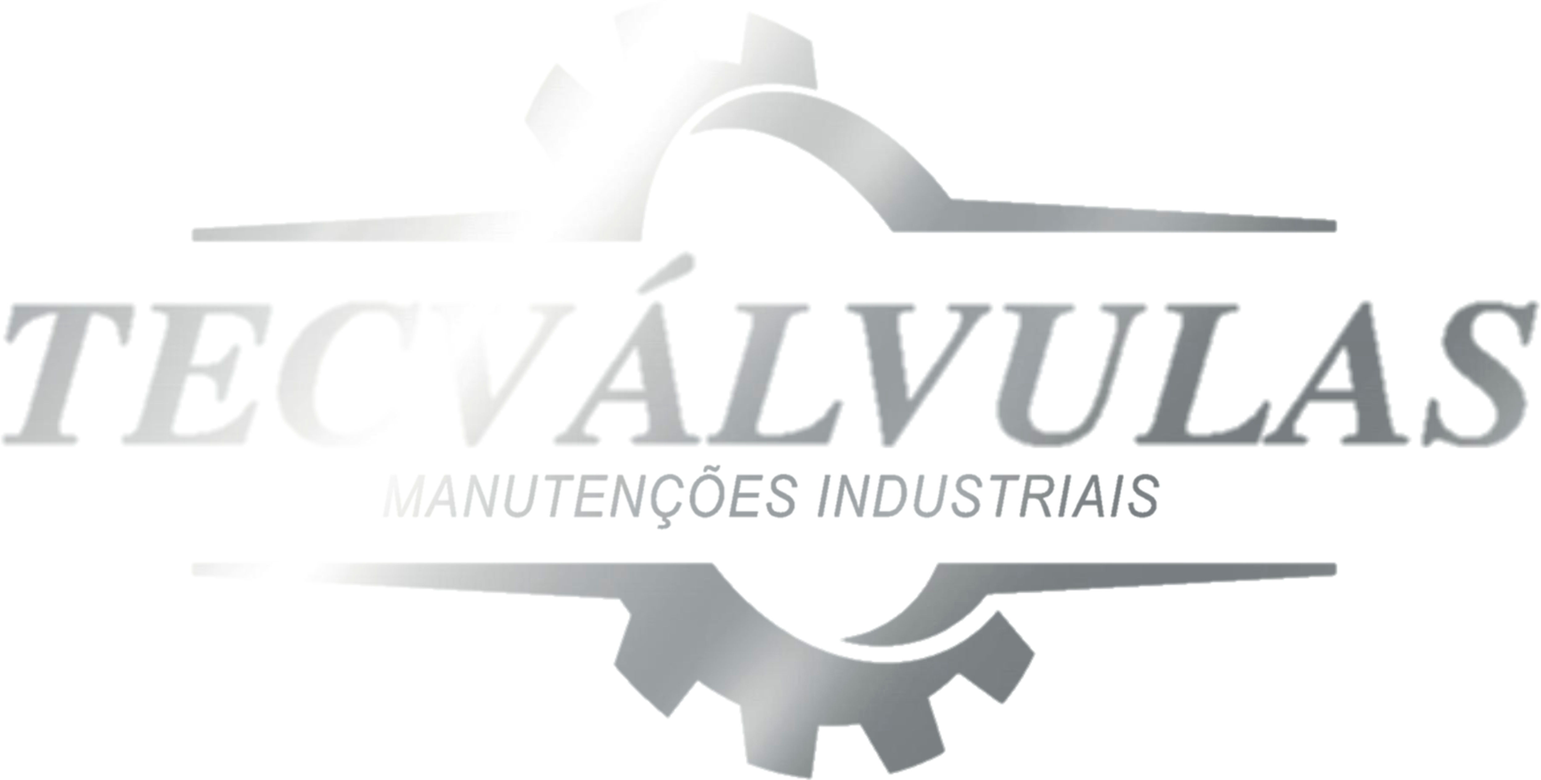 TECVÁLVULAS Manutenções Industriais